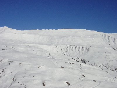 Lieu